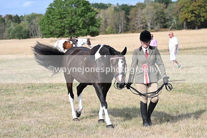 WJ7_8049 - In-hand Championship