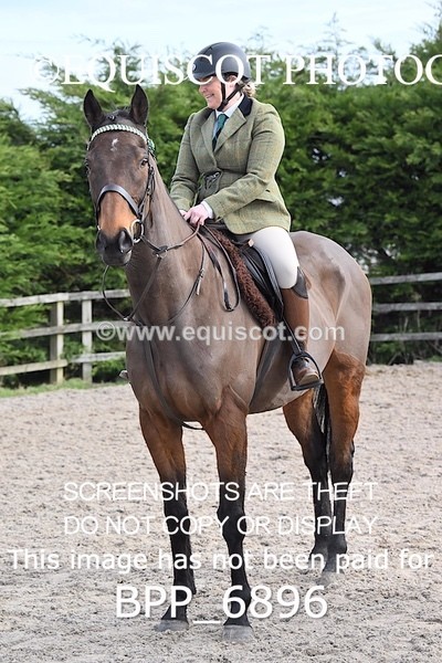 BPP_6896 - RING 1  (RIDDEN HORSES / IN HAND / VETERAN ETC)