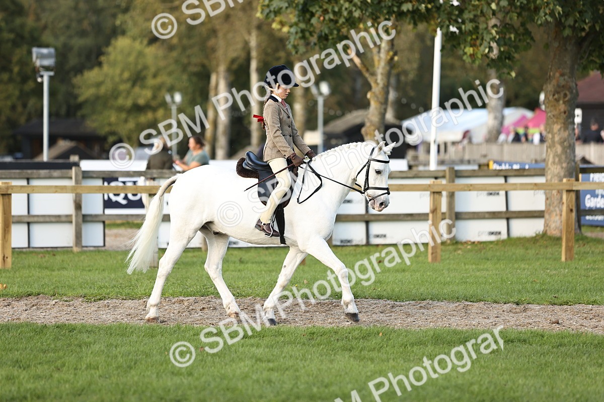 SBM_29549 - S7 - Novice & Newcomers Ridden Pony