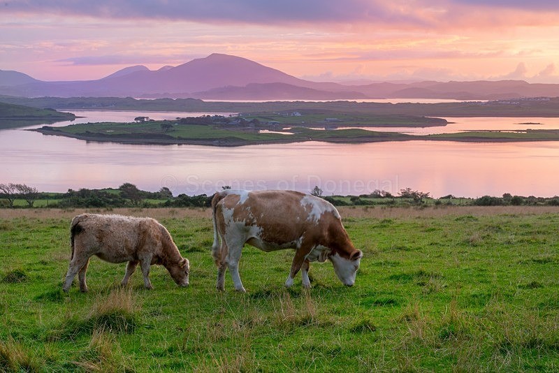 MF1_0317 - Mulroy Bay & Bridge