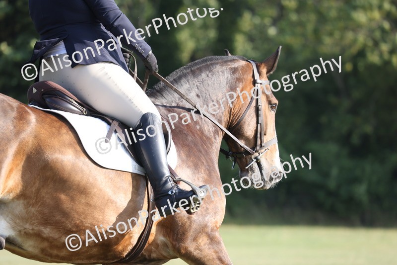 20250731-0091 - Class 2 - Prelim 3