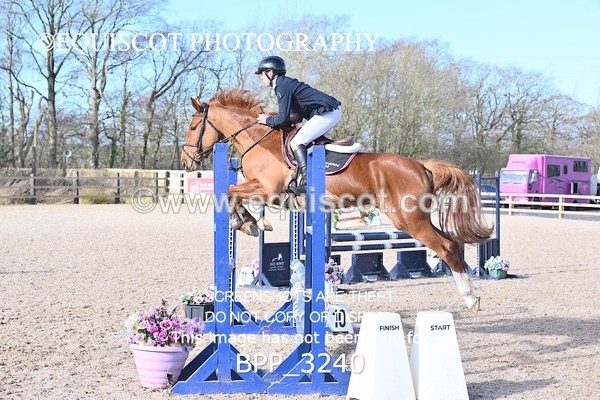 BPP_3240 - CLASS 2  Club/ Unaffiliated 80cms Open