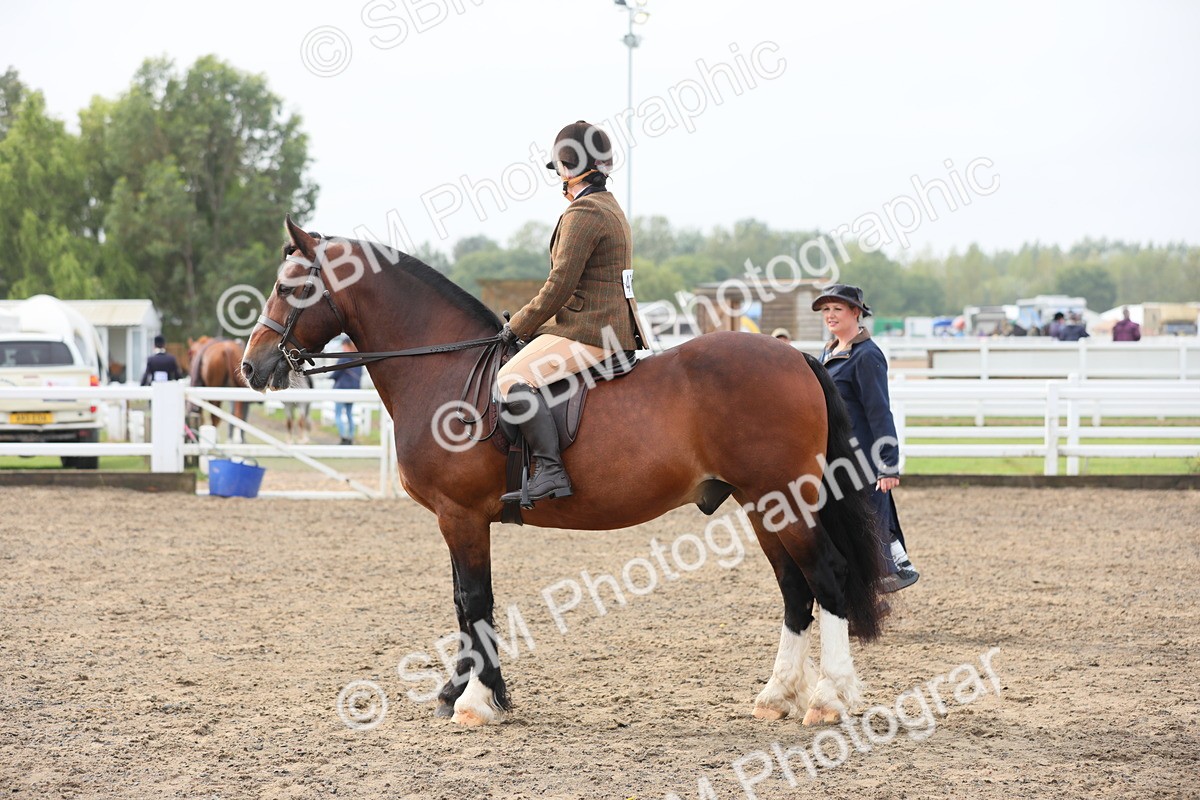 SBM_21360 - Class 805 - Ridden Veteran Horse