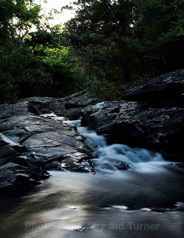  - Nature