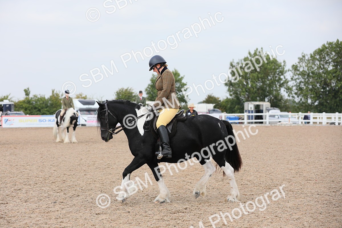 SBM_12742 - Class 307 Ridden Coloured Pony