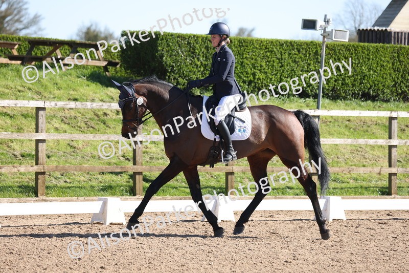 20260318-0580 - Class 6 - Novice 3