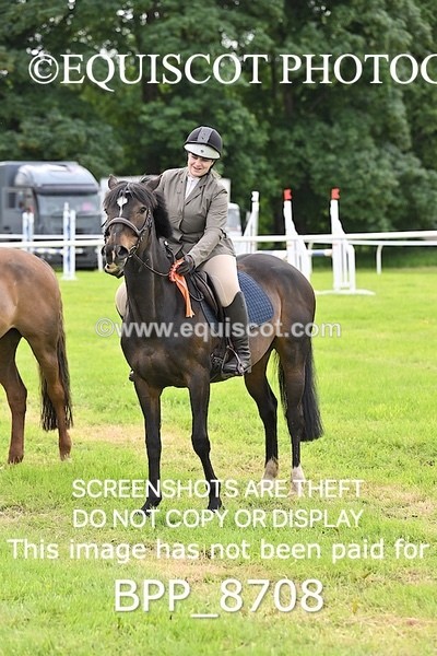 BPP_8708 - CLASS 1  KBIS Club - Senior 80cm