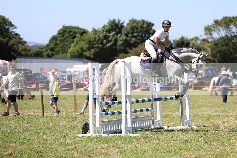 3E7A5583 - Class 9: Senior British Novice/90cm open
