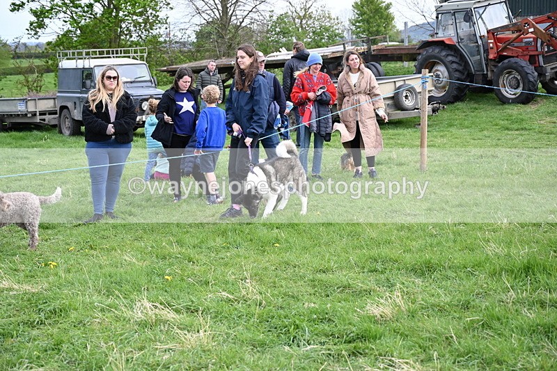 WJ6_8482 - Class 6 Best Rescue