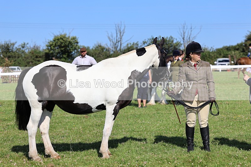 IMG_1587 - Class 30: Ridden Native/Trad Coloured Pony