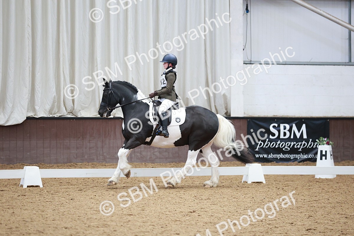 SBM_003874 - Class 2 - Novice 2020