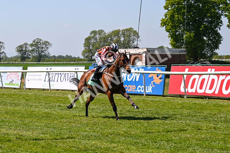 170525-Race 2-Kodiac Thriller-7992 - Race 2