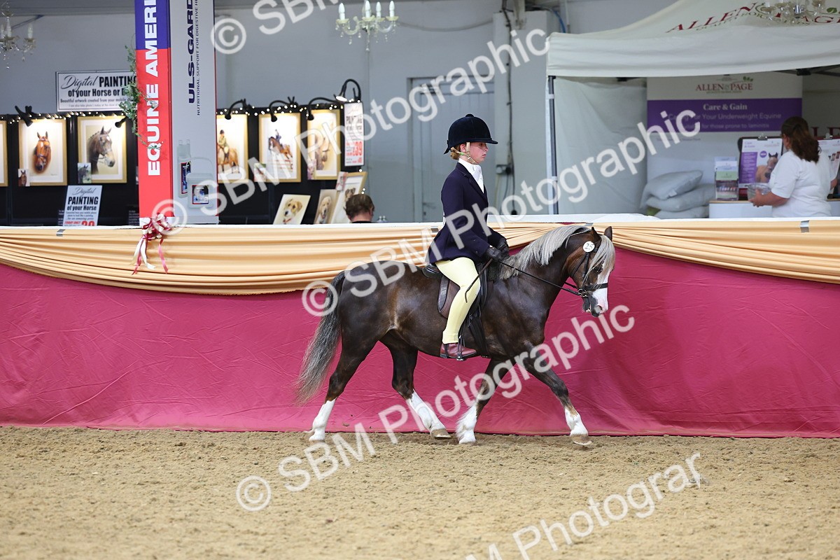 SBM_23470 - Class 904 - Supreme Final Ridden Diamond