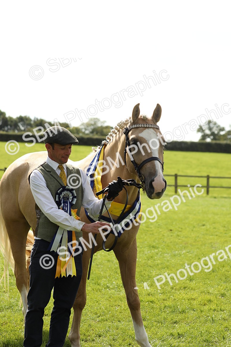 SBM_66340 - In Hand Pony & Youngstock Supreme Championship