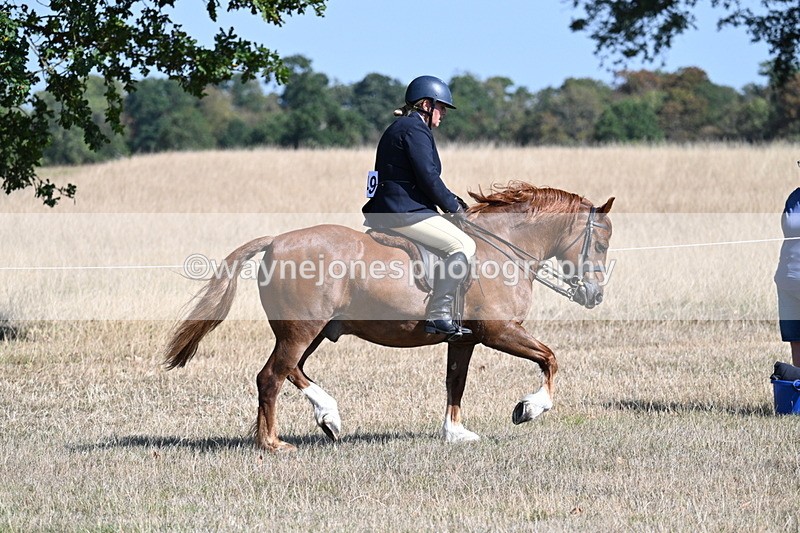 WJ7_3861 - Class 9 Mountain & Moorland Ridden