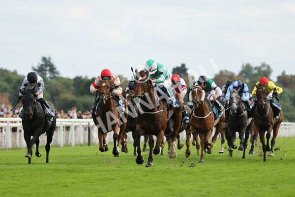 yr04092022r6-29 - Race 6 4.40pm Hanson Springs Stakes