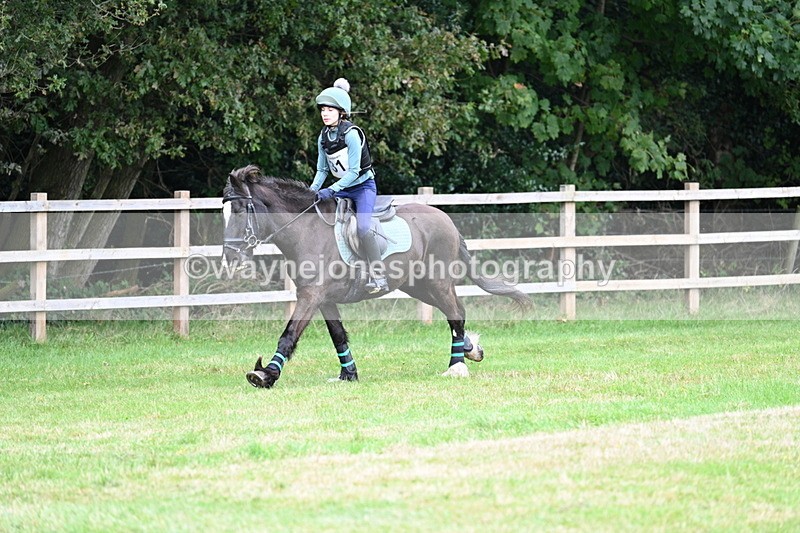 WJ7_7662 - 40cm Time 10:49 to 11:18