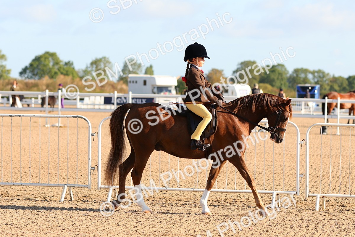 SBM_08155 - Class 202 - Best Turned Out -  Ridden