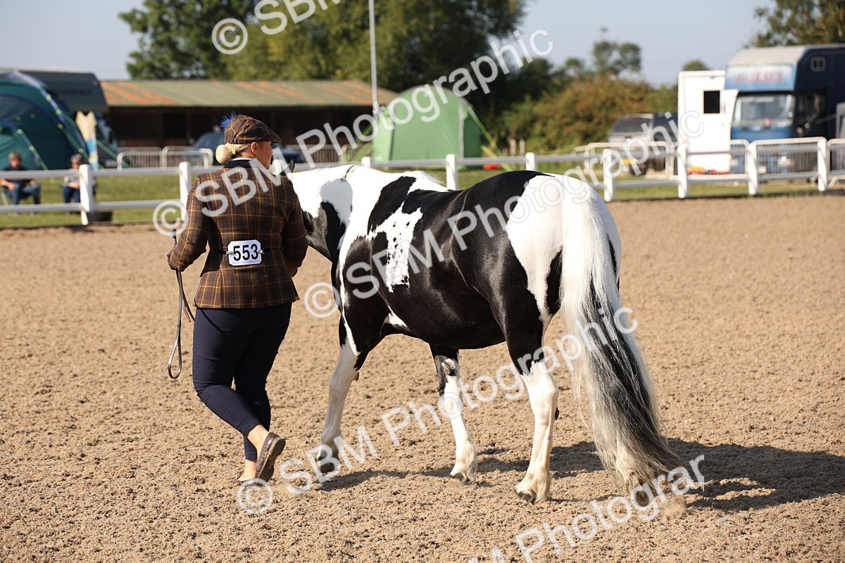 SBM_01495 - Class 15 IH Coloured