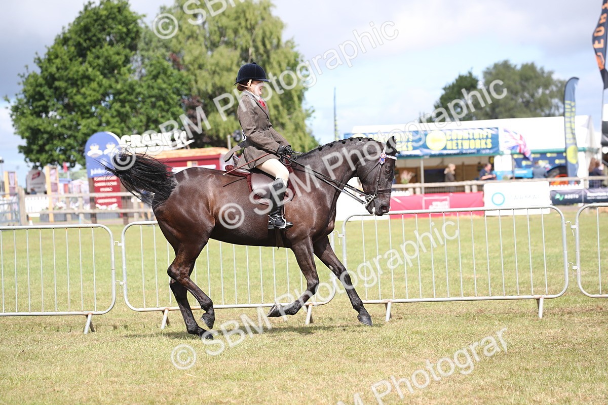 SBM_13202 - Class 95-96 - LIHS BSHA Rising Star Hack Riding Horse