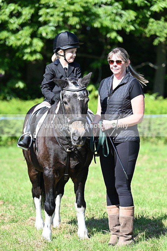 WJ7_0479 - Class 8 First Rally Pony