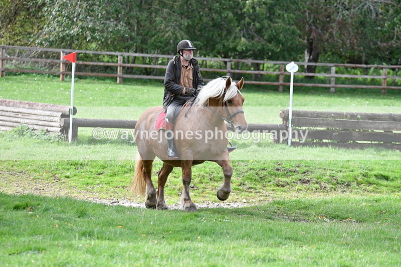 WJ5_9331 - Time 13:03 to 13:25