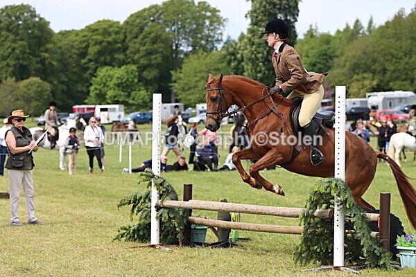 IMG_2959 - Working Hunter