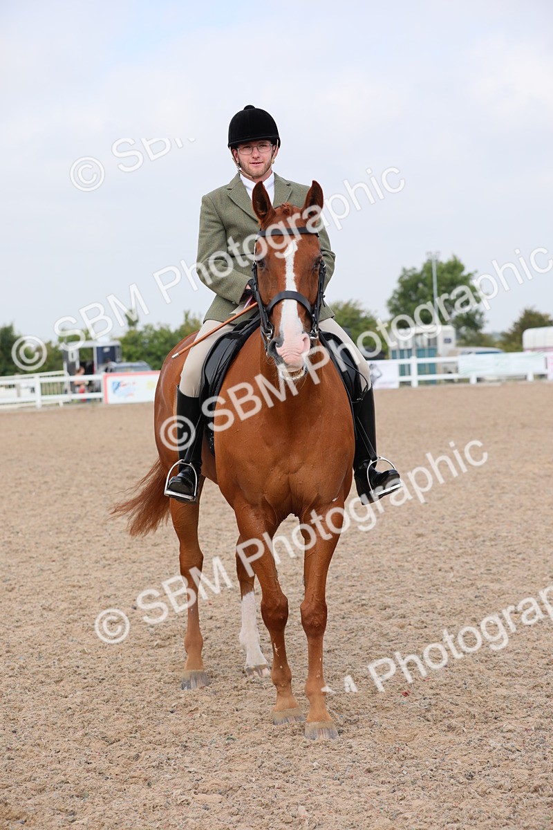 SBM_11493 - Class 305 Ridden Foreign Breeds- Pure Bred
