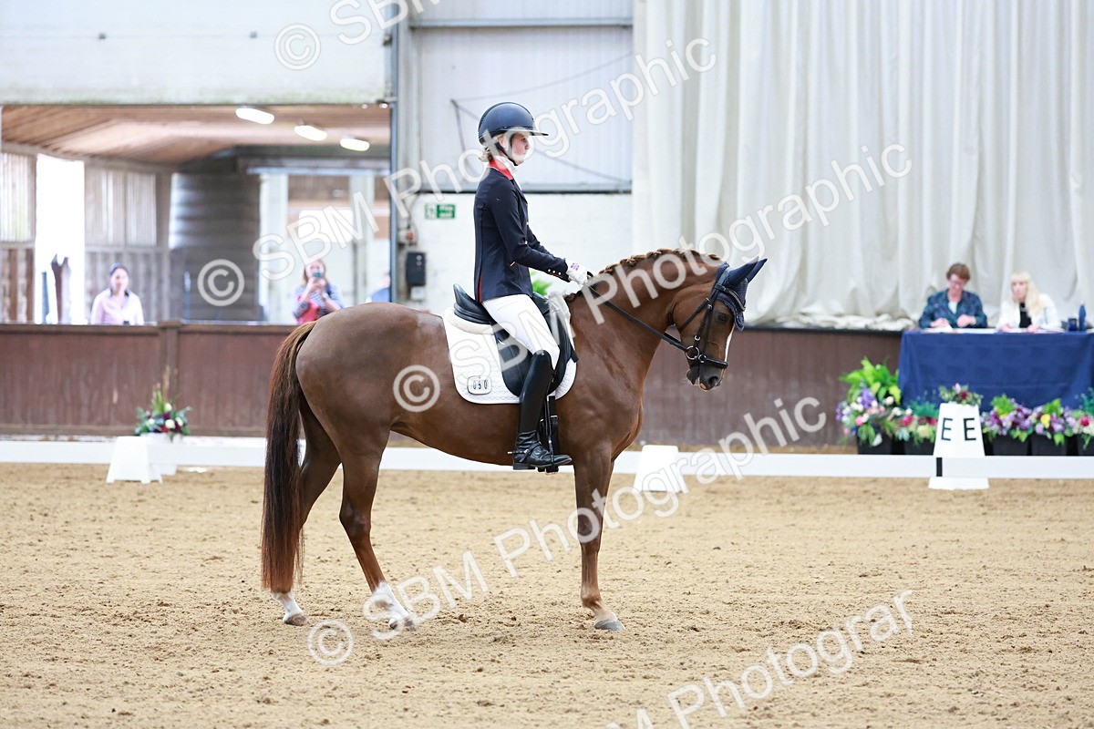 SBM_017175 - Class15 - FEI Pony