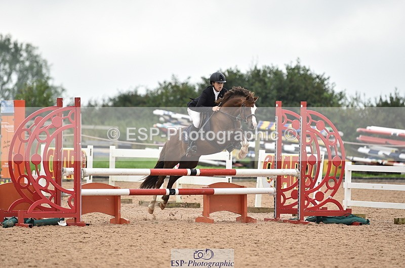 230902A-113952-00793 - Cls 2B Pony Small 80cm