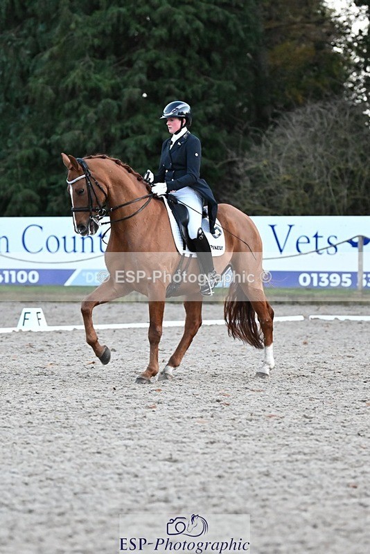 231110-164000-02716 - Cls 14 FEI Grand Prix