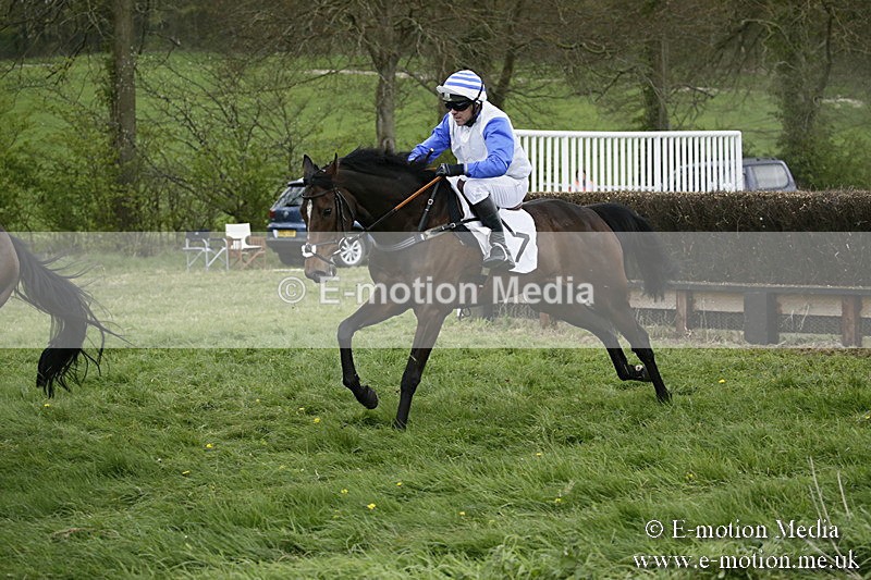 PtP 170417 520 - Old Berks Point-to-Point Lockinge 17/04/17