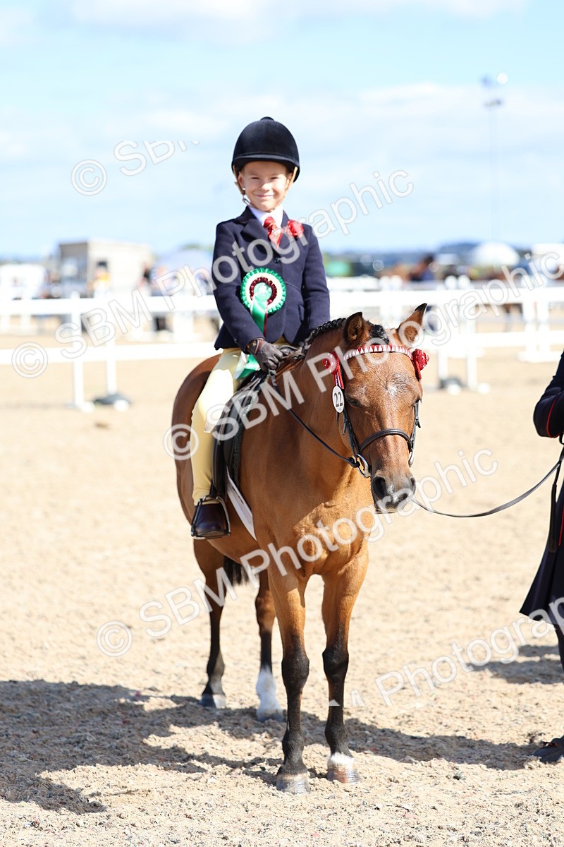 SBM_13121 - Class 309 - Lead Rein Pony