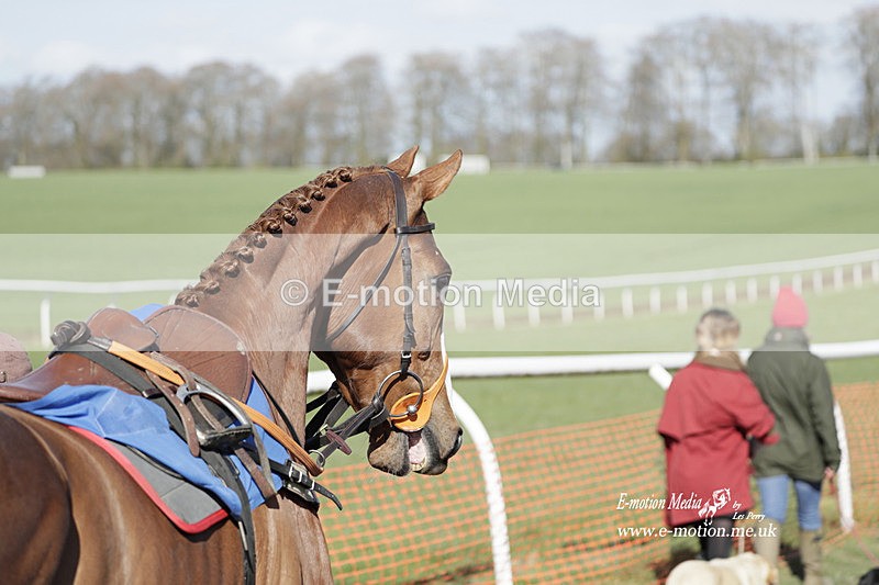 PtP 100423 961 - Old Berkshire Point-to-Point Lockinge 10/04/23