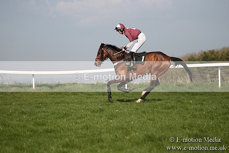 PtP 210418 582 - South & West Wilts Point-to-Point Larkhill 21/04/18