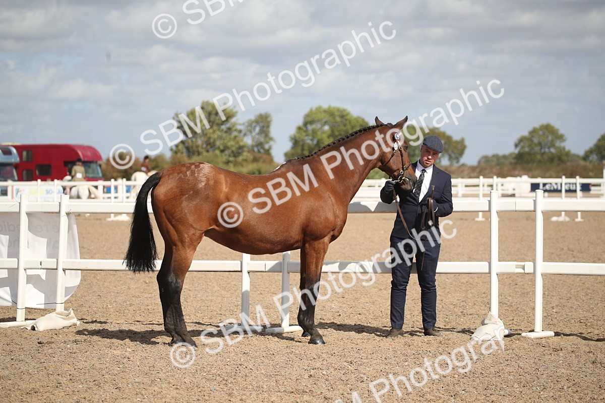 SBM_23408 - Class 604 - 2026 - Area IH Diamond