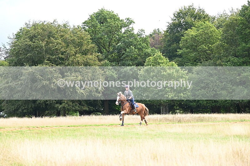 DSC_4539 - Time at Statue 09:50 to 11:09