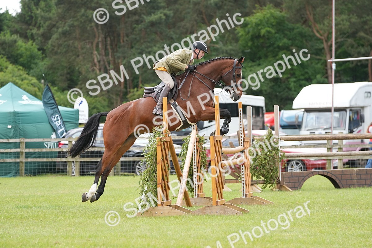 SBM_14928 - Class 100-102 - RIHS Working Hunter