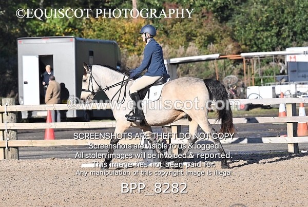 BPP_8282 - SHORT ARENA