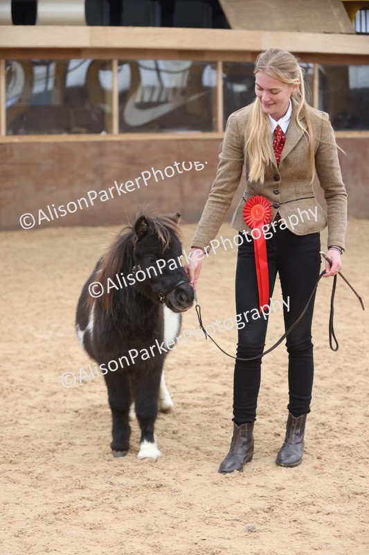 20251109-0208 - Class 10 - Yearling, Colt, Filly or Gelding