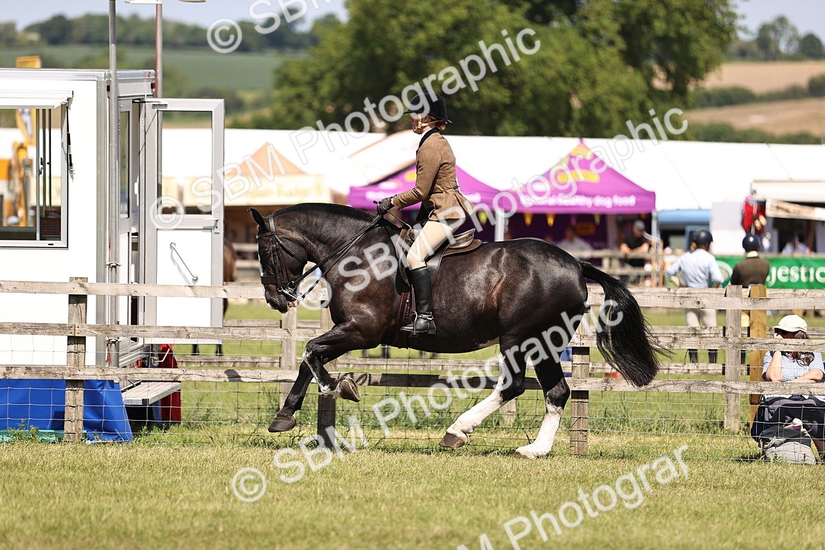 SBM_17889 - Class 81-83 - TSR Ridden Amateur of the Year - Horses