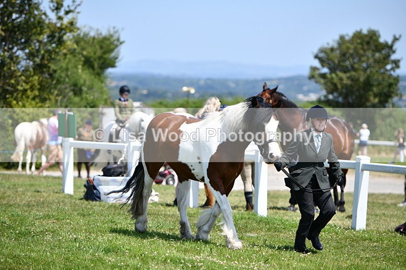 DSC_7562 - Class 64: Coloured Pony 4yrs & over