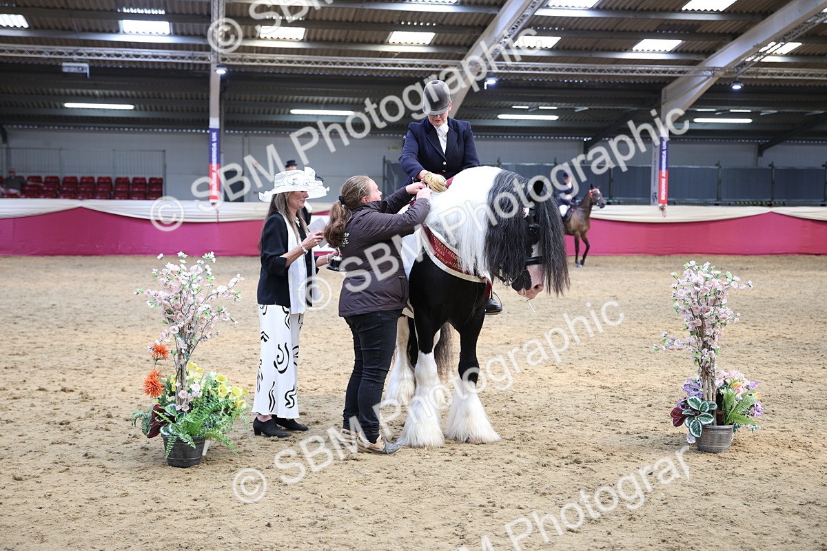 SBM_24317 - Class 905 - Supreme Final - Ridden Veteran