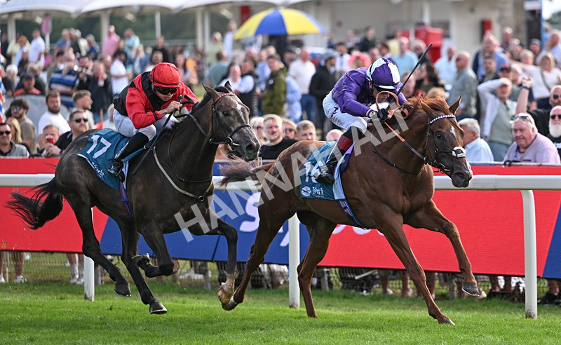 190826-255 Henley On Thames - Race 7 17.20pm Sky Bet Nursery Handicap
