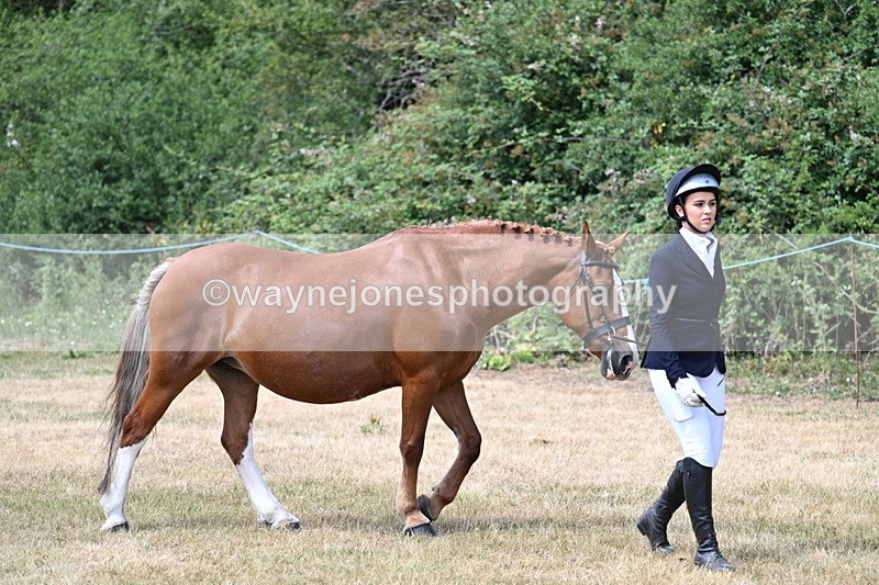 WJ7_1957 - Class 4a Prettiest Mare 14.2hh and over hand