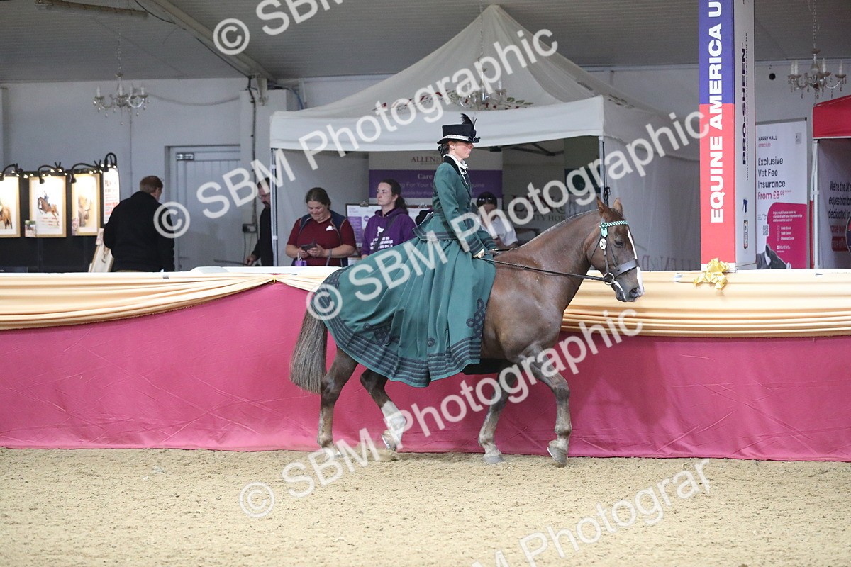 SBM_12107 - Class 107 Ridden Costume- Astride Adult (20+)