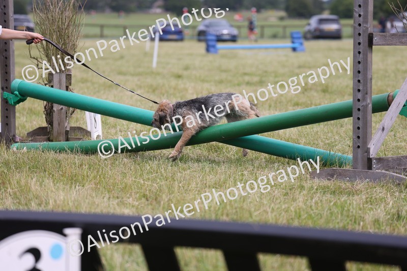 20260614-4372 - Class 25 - Horse and Hound Jumping