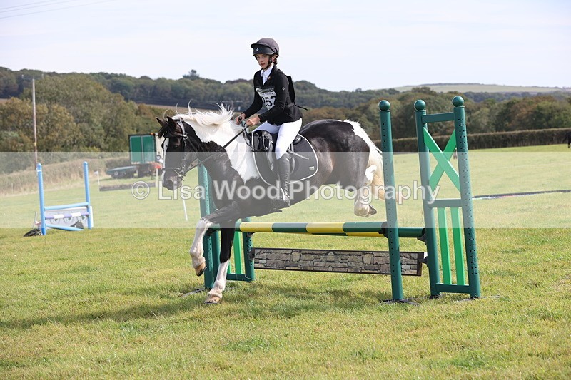 JPP_8622 - Class 2: Trekenning: 80cm Showjumping