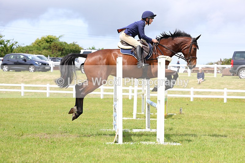 3E7A7387 - Class 13: Senior British Novice/90cm open