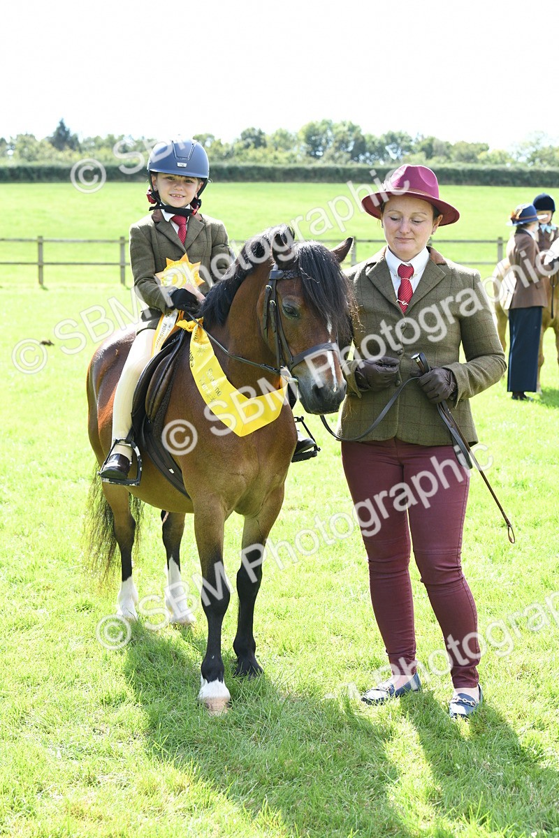 SBM_42642 - S20 - Lead Rein Mountain & Moorland Pony
